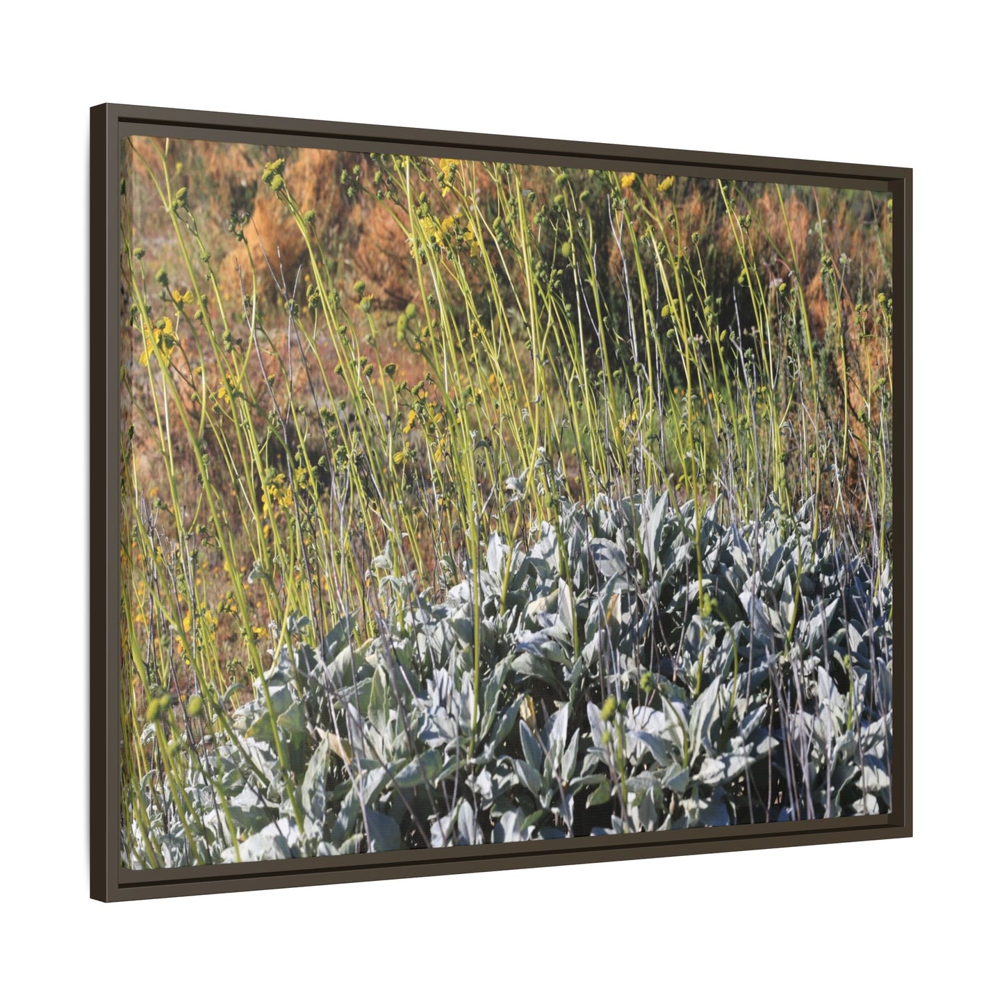 Arid Landscape with Yellow Flowers - Unique Stretched Canvas Wall Art - Art By Earth