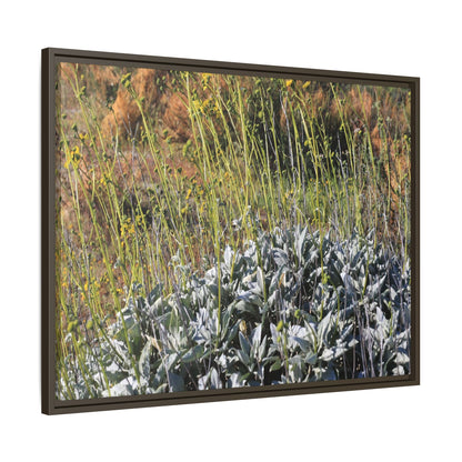 Arid Landscape with Yellow Flowers - Unique Stretched Canvas Wall Art - Art By Earth