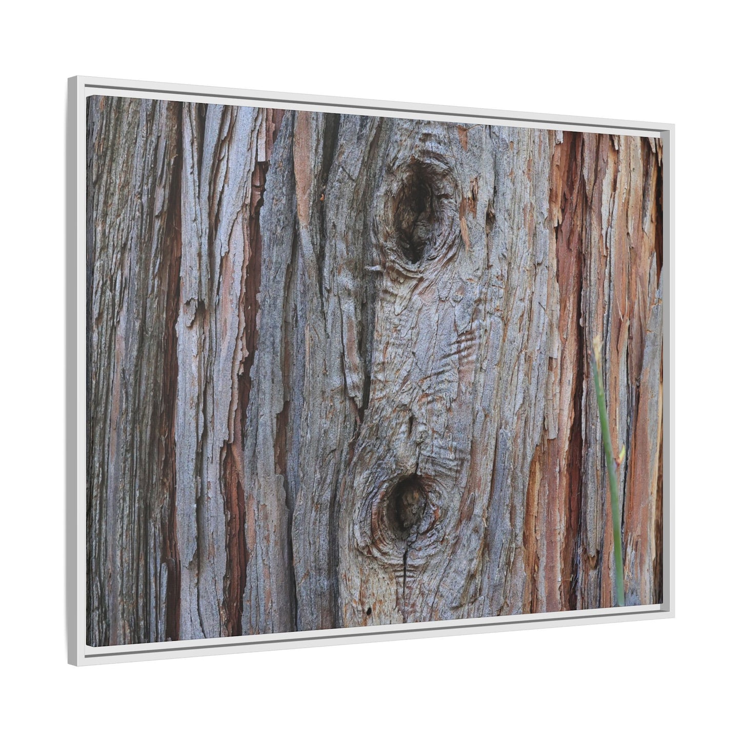 Knotty Nature - Unique Stretched Canvas Wall Art - Art By Earth