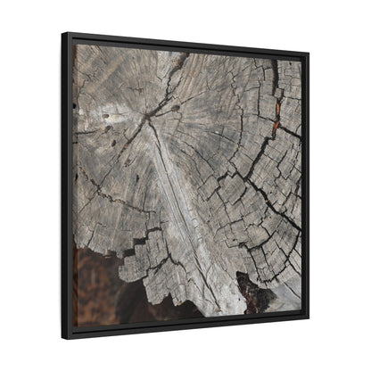 Time's Signature - Unique Stretched Canvas Wall Art - Art By Earth