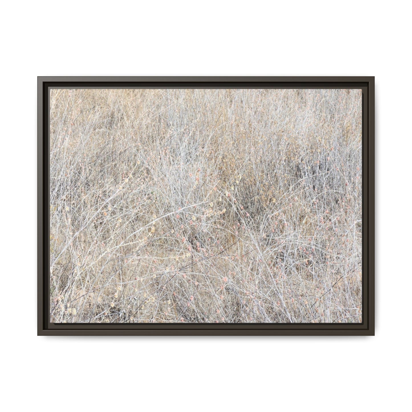 Whispers of Dry Grass - Unique Stretched Canvas Wall Art - Art By Earth