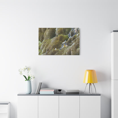 Verdant Stone Symphony - Unique Frameless Canvas Wall Art