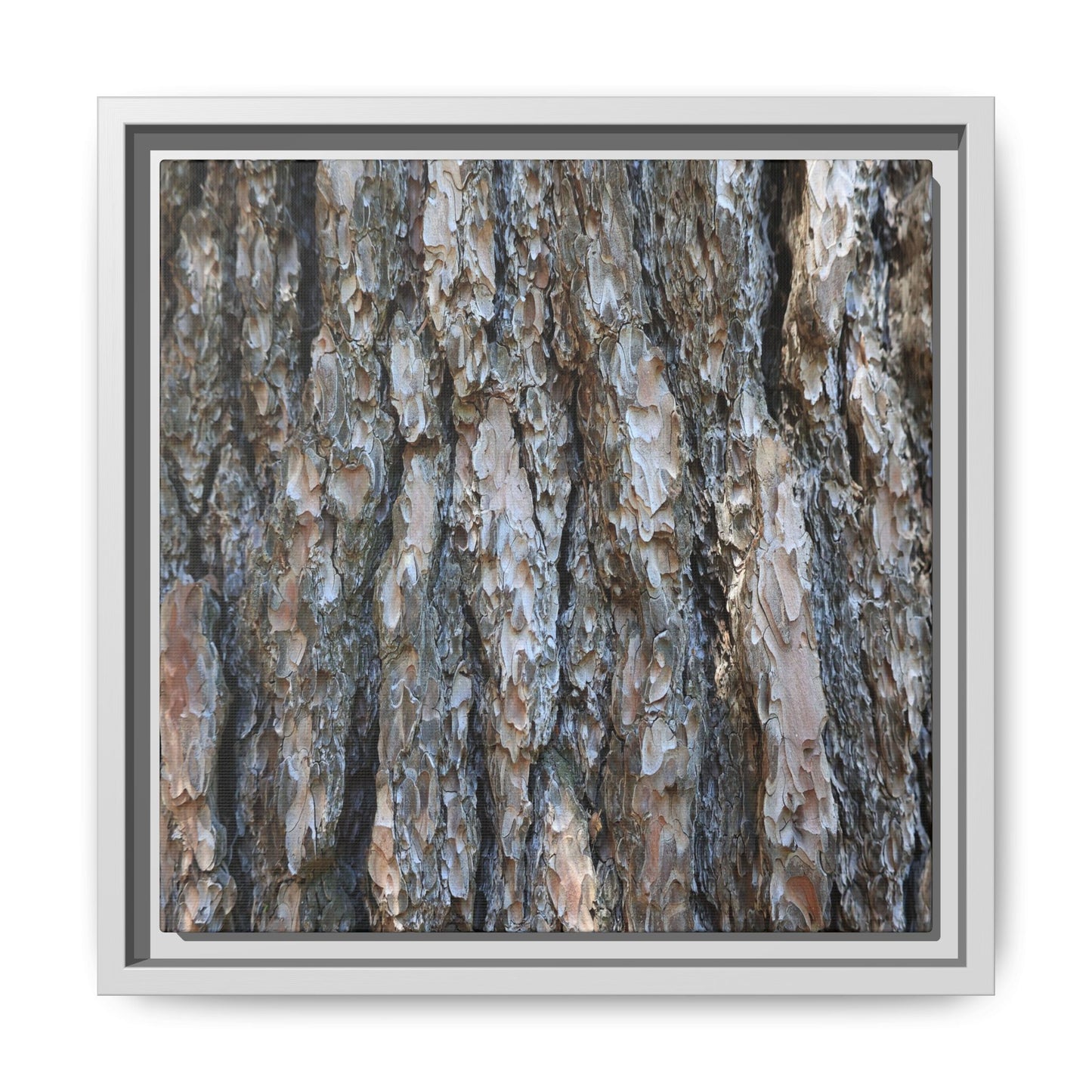 Bark Whispers - Unique Stretched Canvas Wall Art - Art By Earth