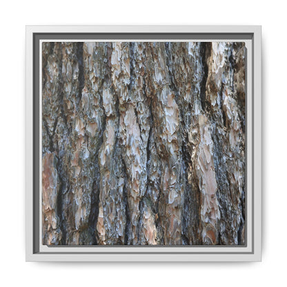 Bark Whispers - Unique Stretched Canvas Wall Art - Art By Earth