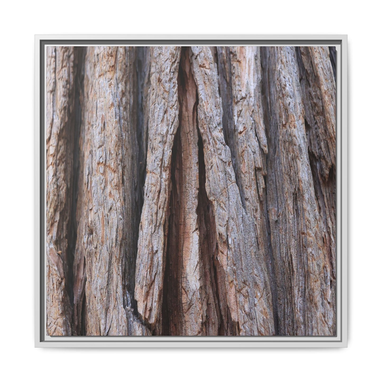 Nature's Sculpture - Unique Stretched Canvas Wall Art - Art By Earth