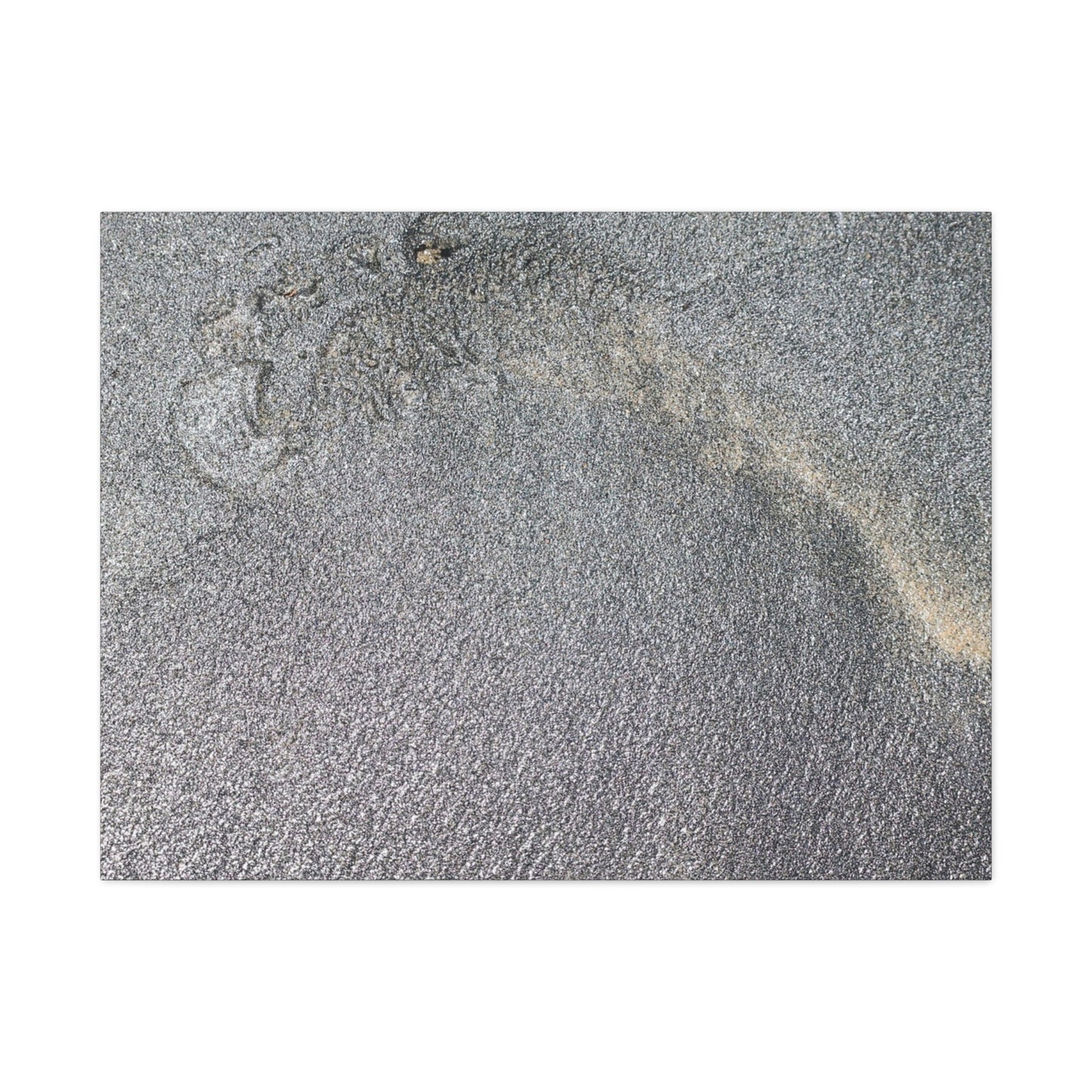 Ephemeral Whispers of Granite - Unique Frameless Canvas Wall Art - Art By Earth