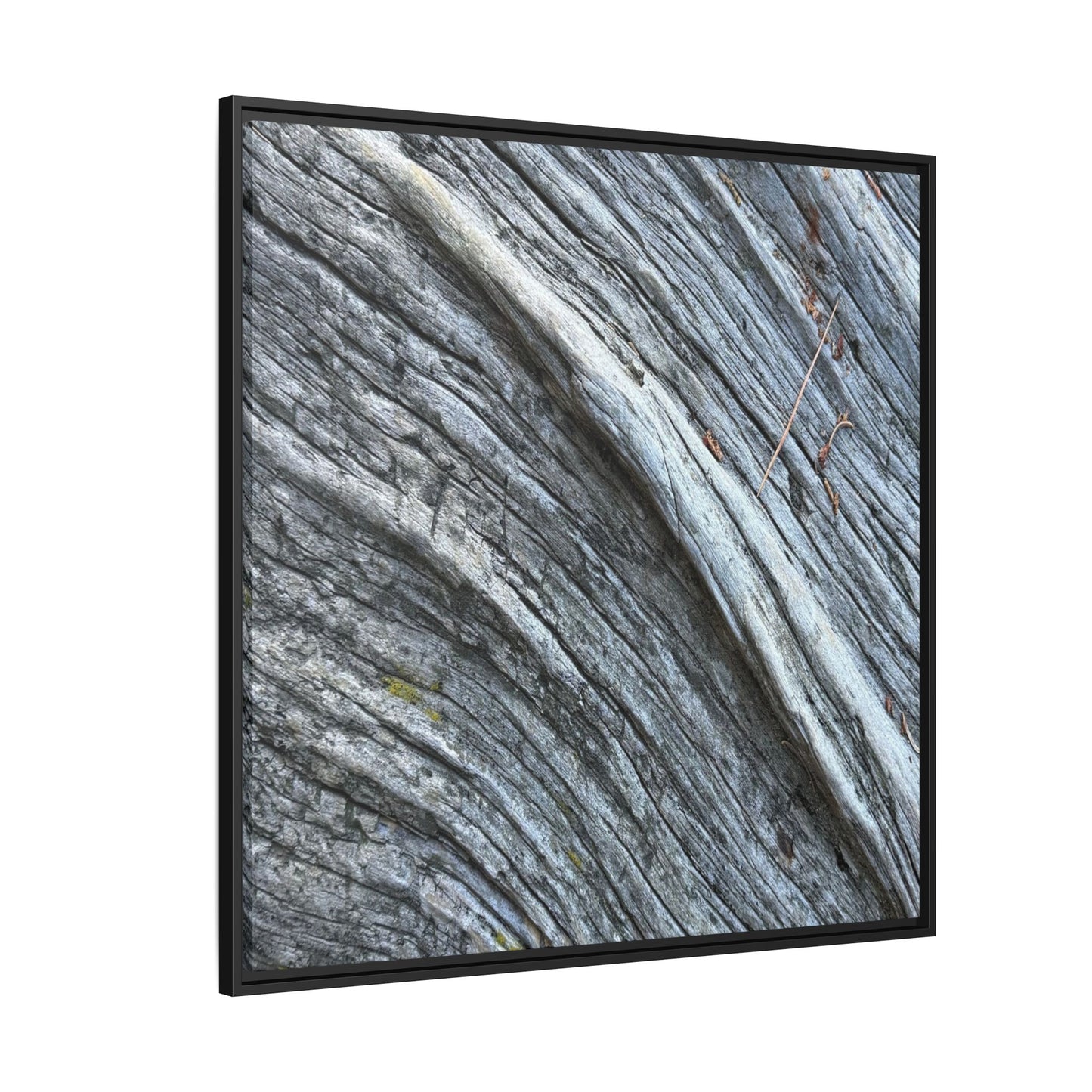 Aged Timber - Unique Stretched Canvas Wall Art - Art By Earth