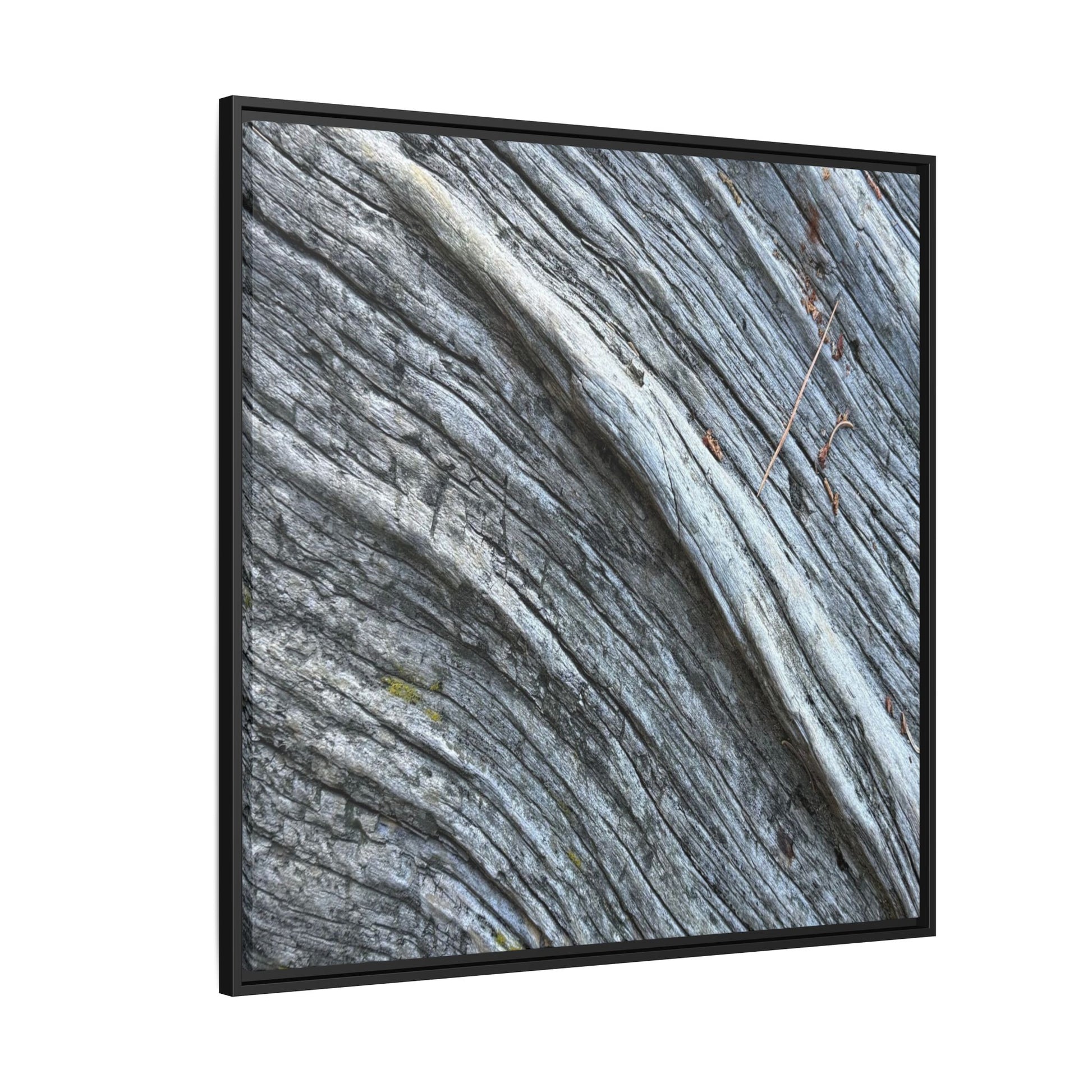 Aged Timber - Unique Stretched Canvas Wall Art - Art By Earth