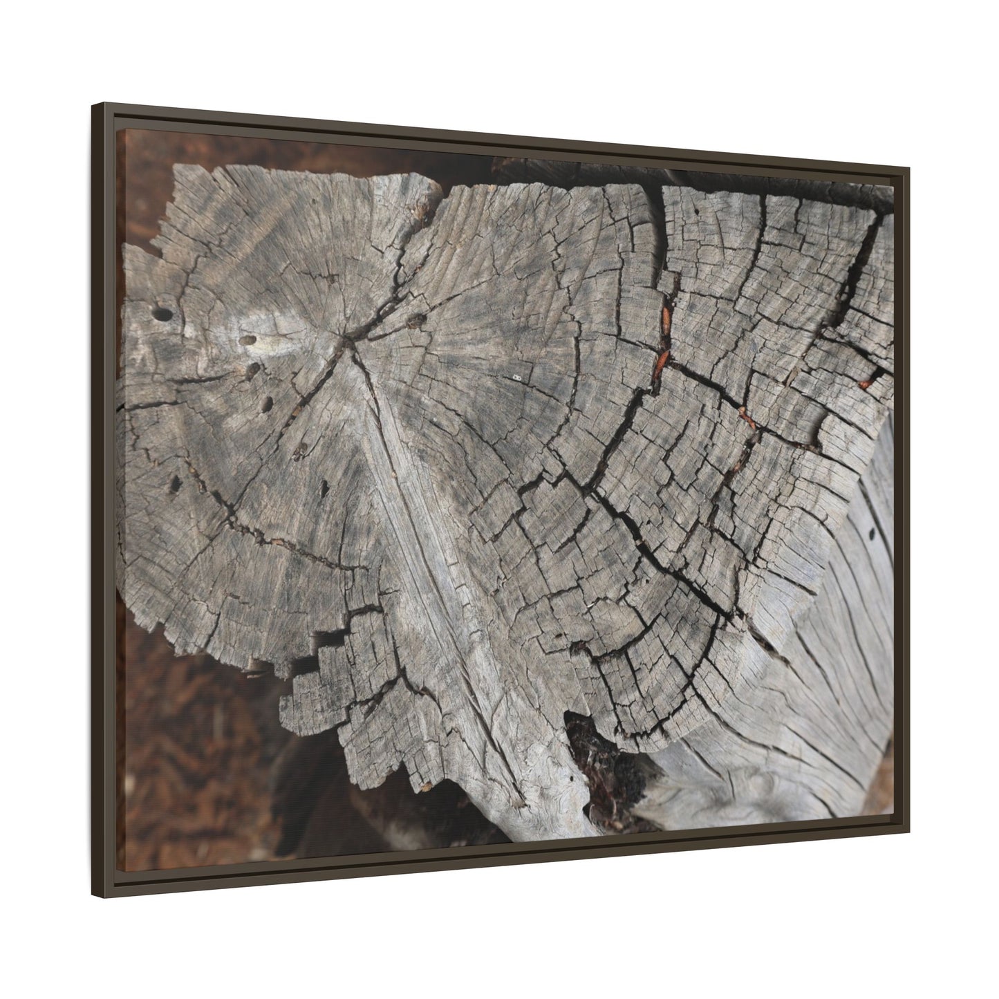 Time's Signature - Unique Stretched Canvas Wall Art - Art By Earth