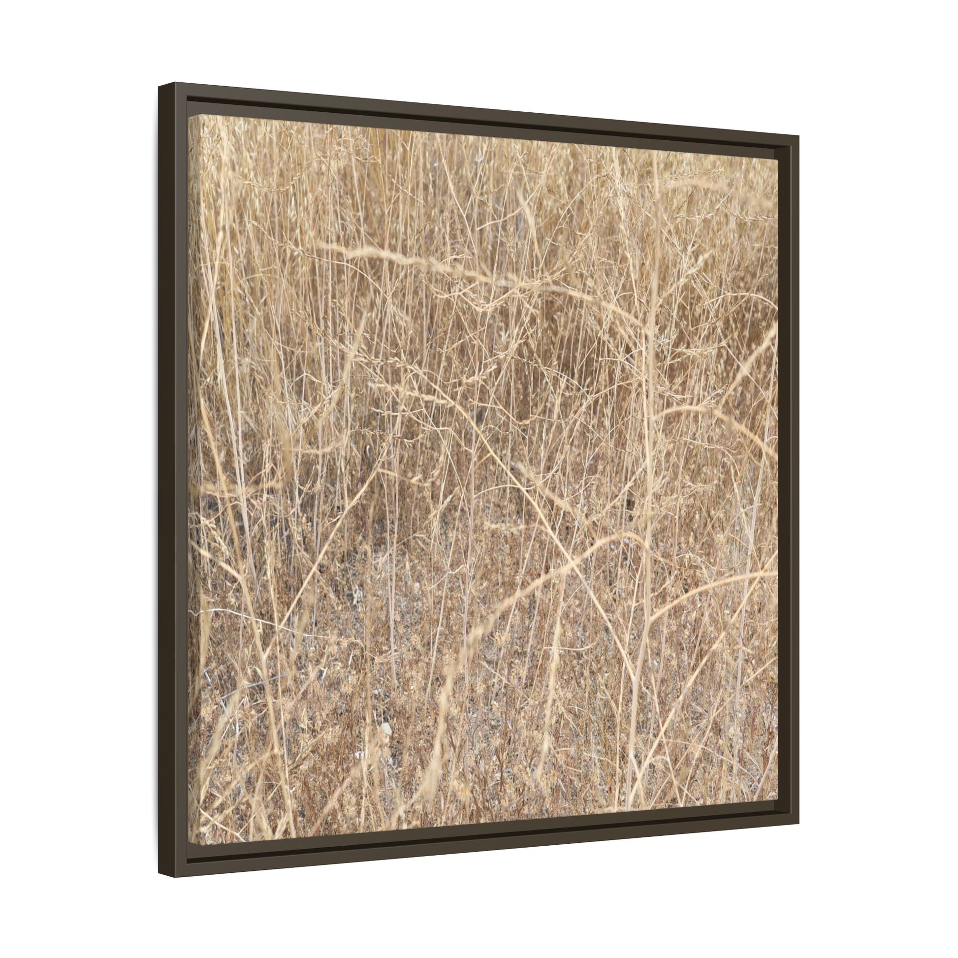Golden Stalks - Unique Stretched Canvas Wall Art - Art By Earth