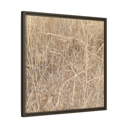 Golden Stalks - Unique Stretched Canvas Wall Art - Art By Earth