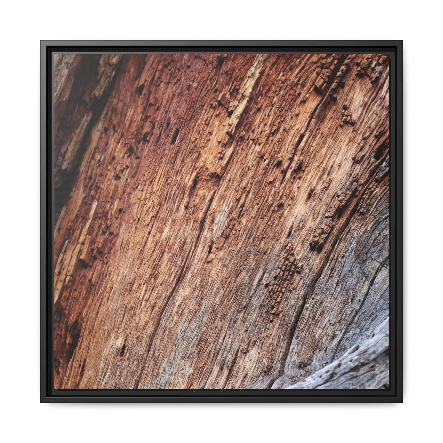 Time's Mark - Unique Stretched Canvas Wall Art - Art By Earth
