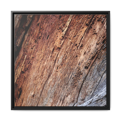 Time's Mark - Unique Stretched Canvas Wall Art - Art By Earth