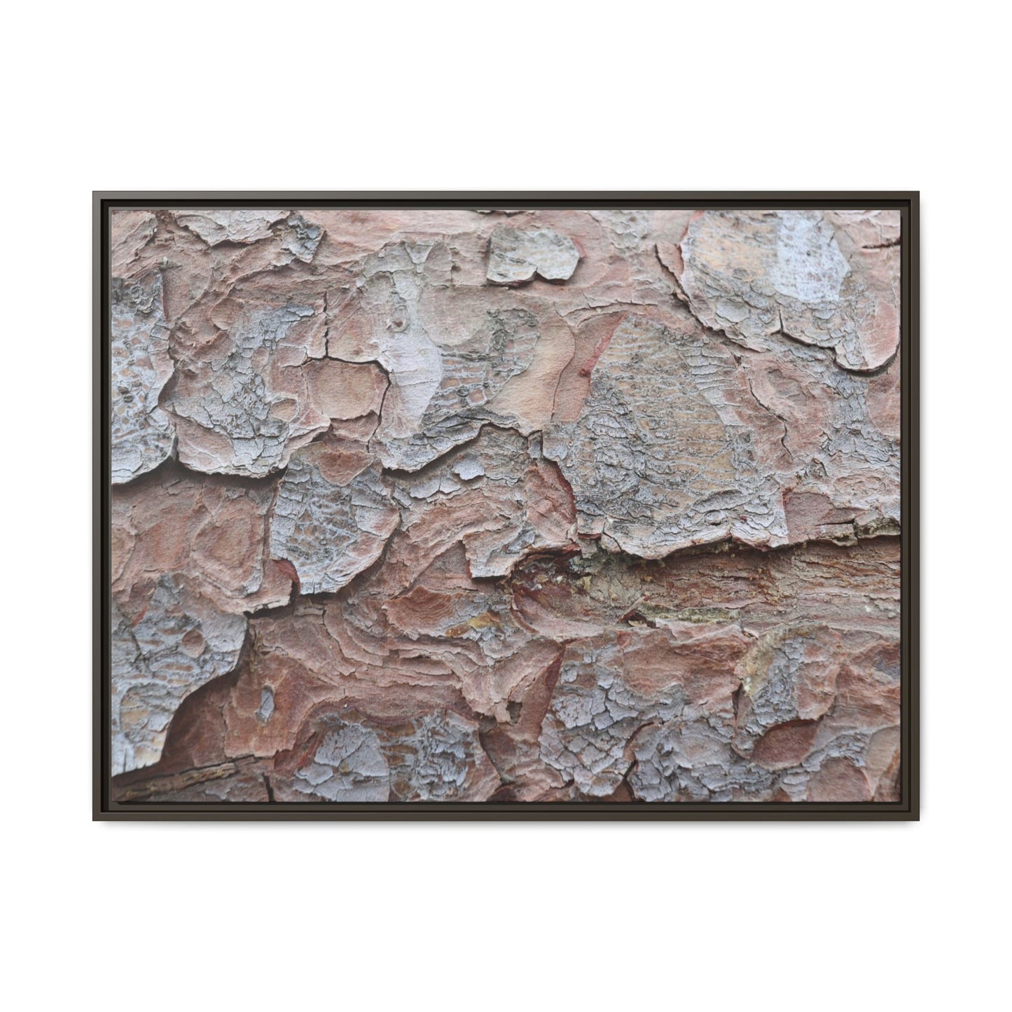 Flaking Serenity - Unique Stretched Canvas Wall Art - Art By Earth