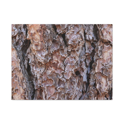 Rough Canvas - Unique Frameless Canvas Wall Art - Art By Earth