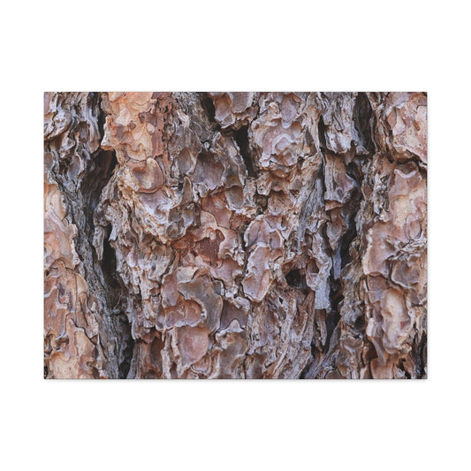 Rough Canvas - Unique Frameless Canvas Wall Art - Art By Earth