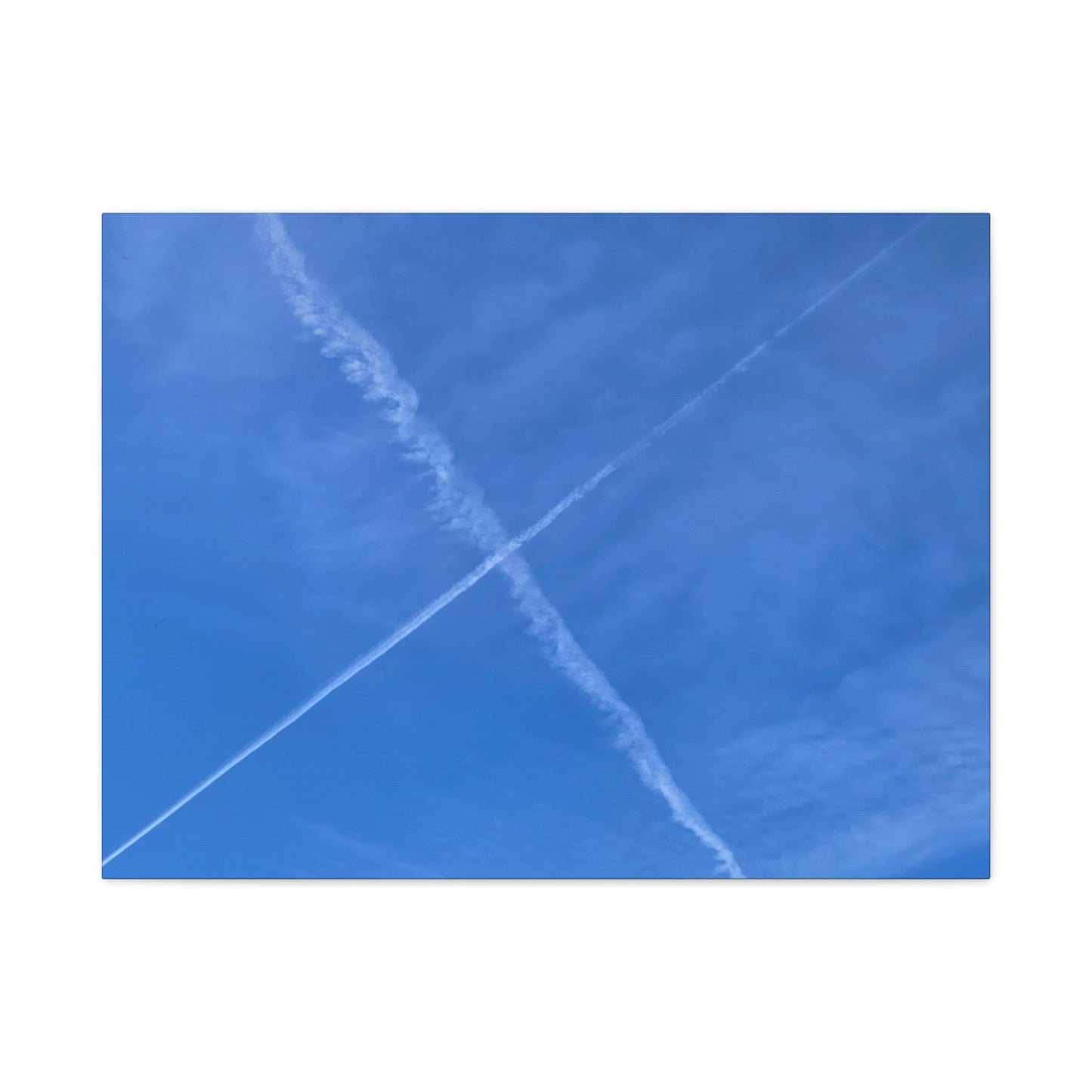 Crossing Paths - Unique Frameless Canvas Wall Art - Art By Earth