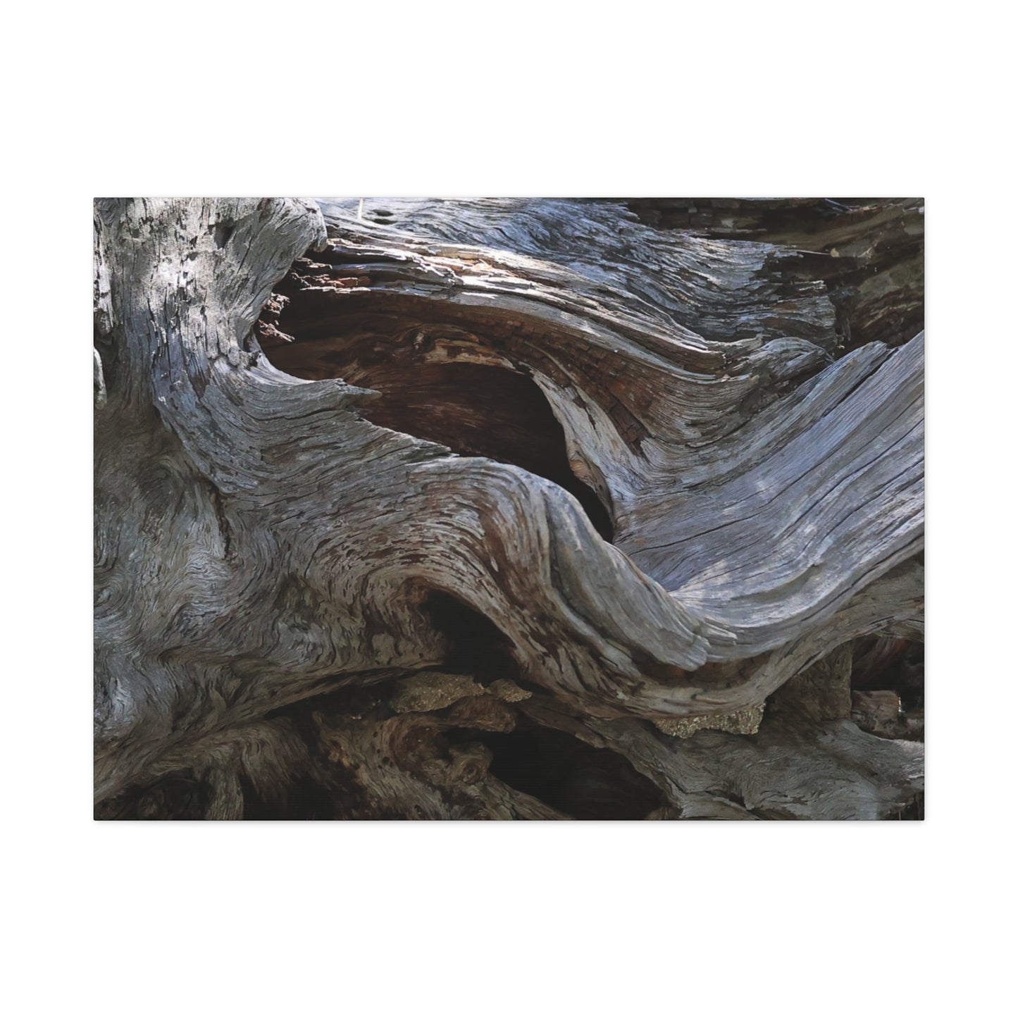 Twisted Fate - Unique Frameless Canvas Wall Art - Art By Earth