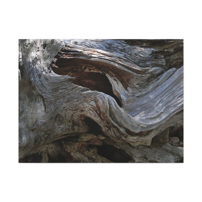 Twisted Fate - Unique Frameless Canvas Wall Art - Art By Earth