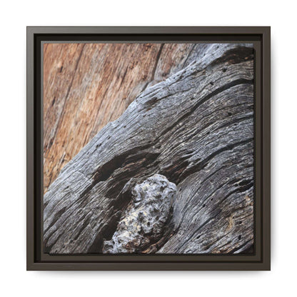 Time's Mark on Timber - Unique Stretched Canvas Wall Art - Art By Earth