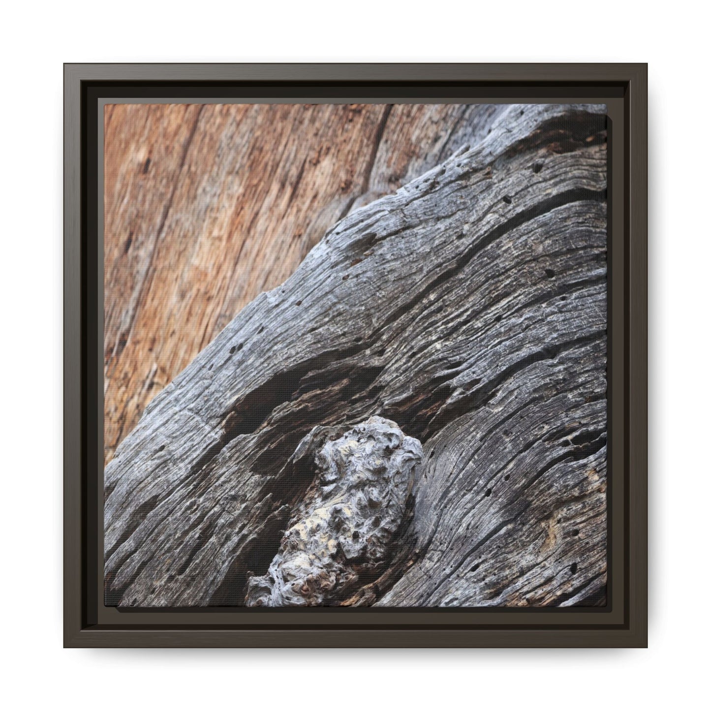 Time's Mark on Timber - Unique Stretched Canvas Wall Art - Art By Earth