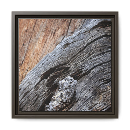 Time's Mark on Timber - Unique Stretched Canvas Wall Art - Art By Earth