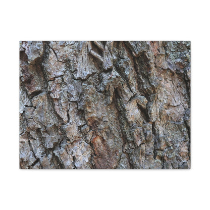 Rugged Canvas - Unique Frameless Canvas Wall Art - Art By Earth