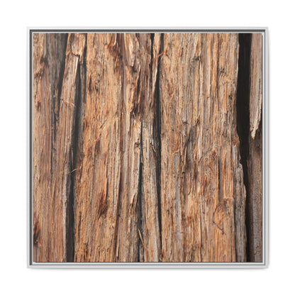 Timber Echoes - Unique Stretched Canvas Wall Art - Art By Earth