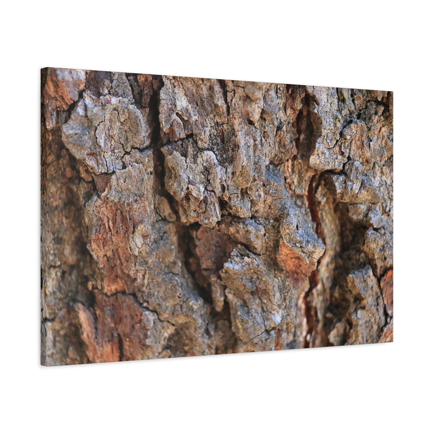 Nature's Skin - Unique Frameless Canvas Wall Art - Art By Earth