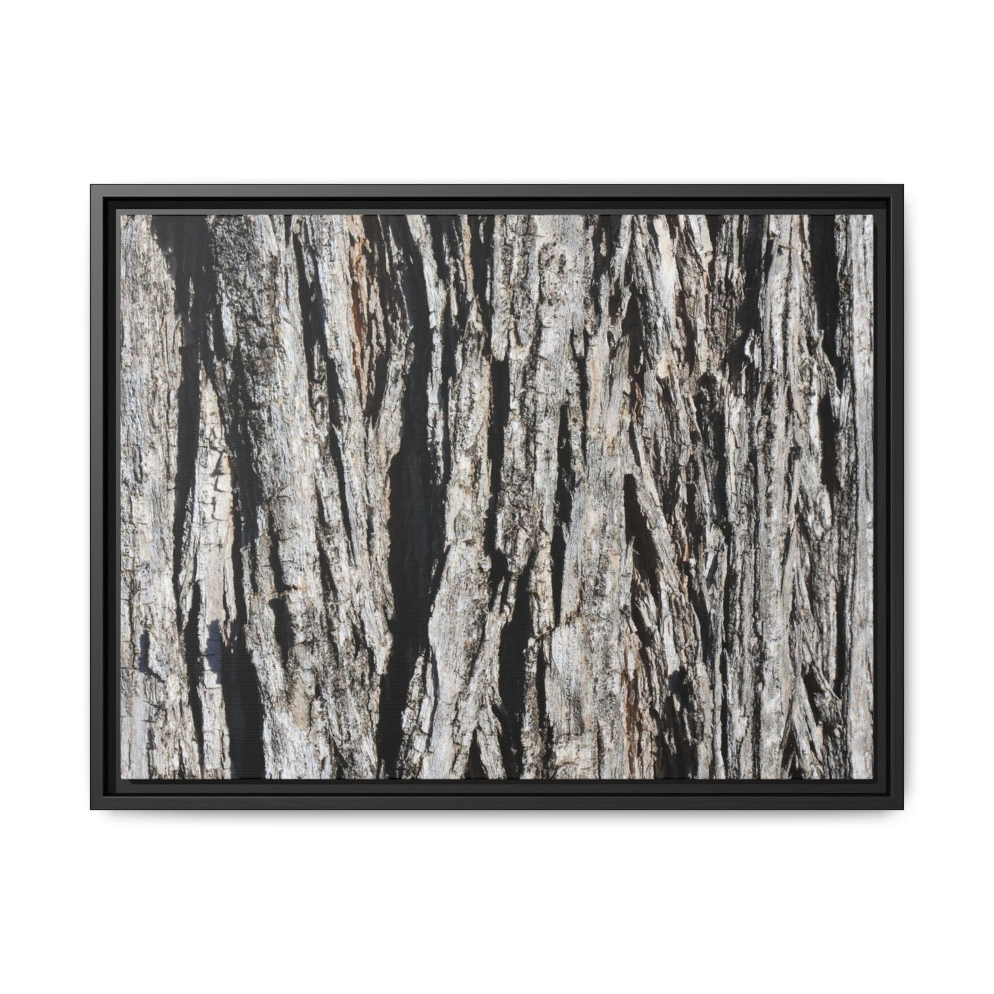 Bark Lines - Unique Stretched Canvas Wall Art - Art By Earth