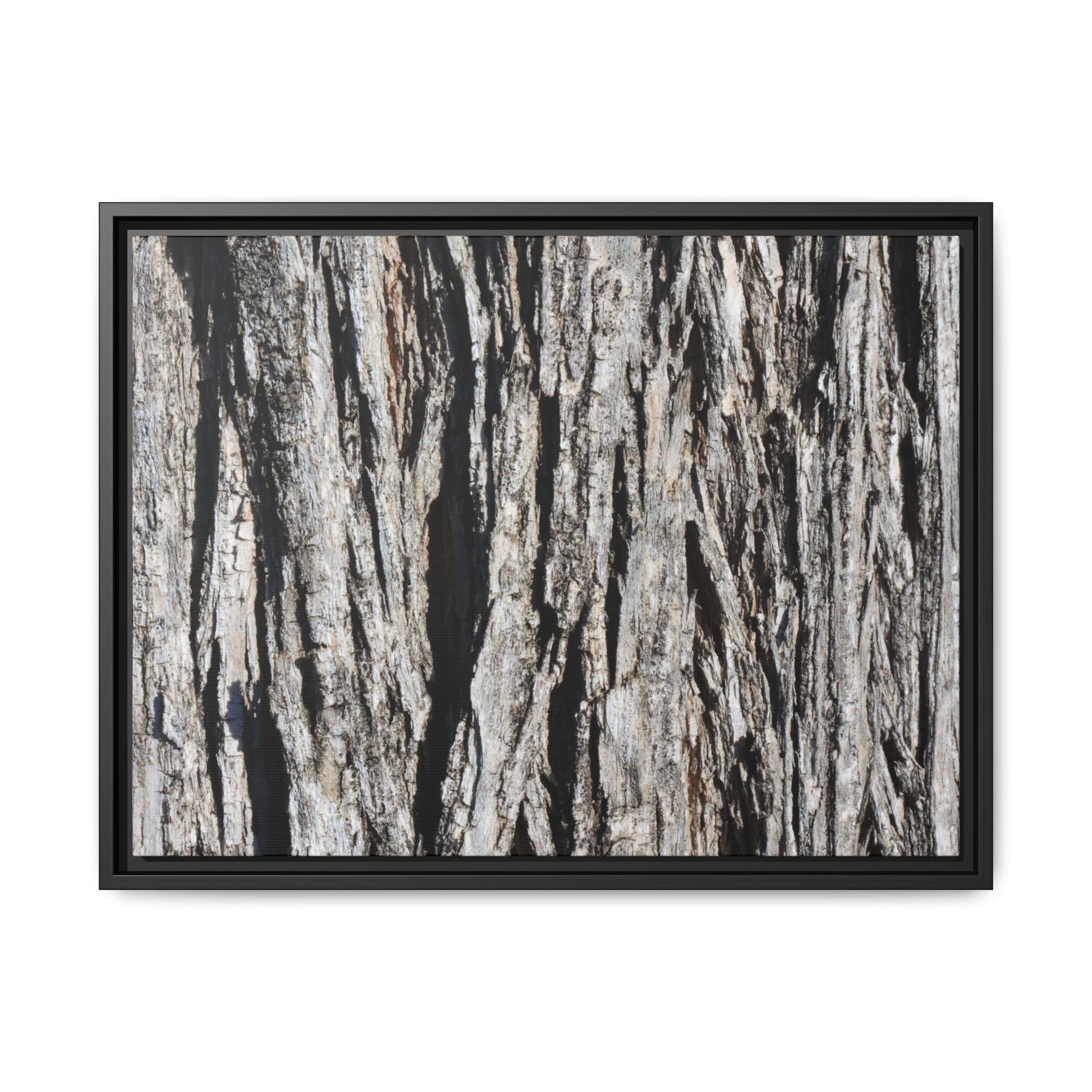Bark Lines - Unique Stretched Canvas Wall Art - Art By Earth