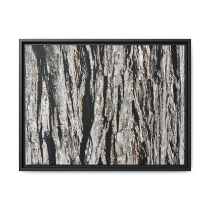 Bark Lines - Unique Stretched Canvas Wall Art - Art By Earth