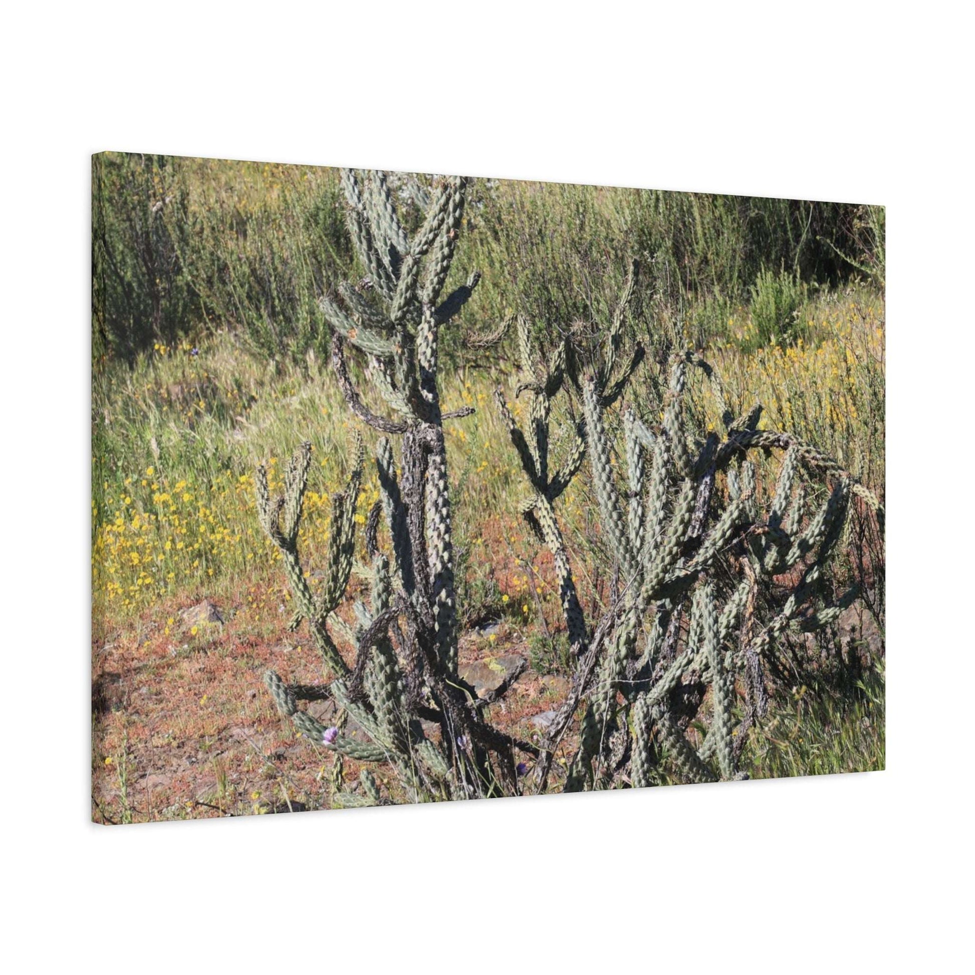 Desert Bloom in Shadow - Unique Frameless Canvas Wall Art - Art By Earth
