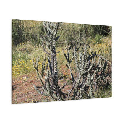 Desert Bloom in Shadow - Unique Frameless Canvas Wall Art - Art By Earth