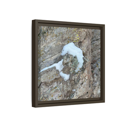 Lichen's Embrace - Unique Stretched Canvas Wall Art