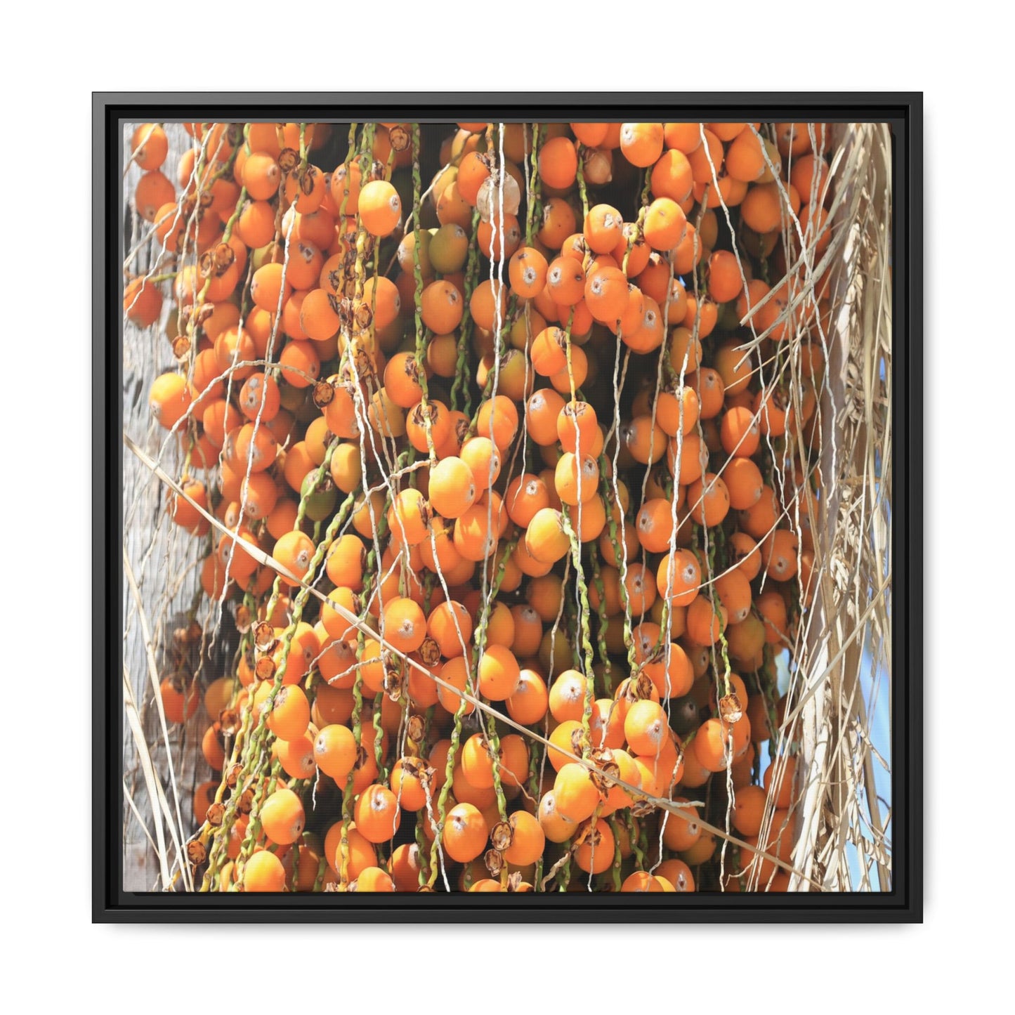 Clusters of Sunlight - Unique Canvas Wall Art - Art By Earth