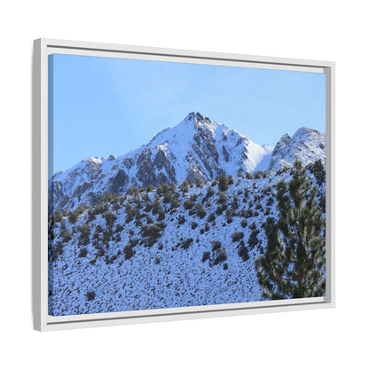 Snow's Embrace - Unique Stretched Canvas Wall Art