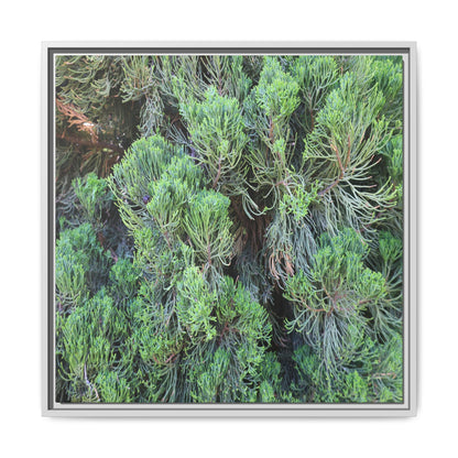 Verdant Whispers - Unique Stretched Canvas Wall Art - Art By Earth