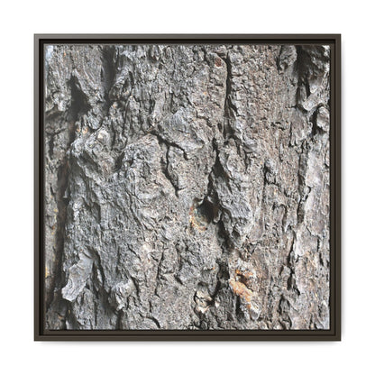Crusty Exterior - Unique Stretched Canvas Wall Art - Art By Earth