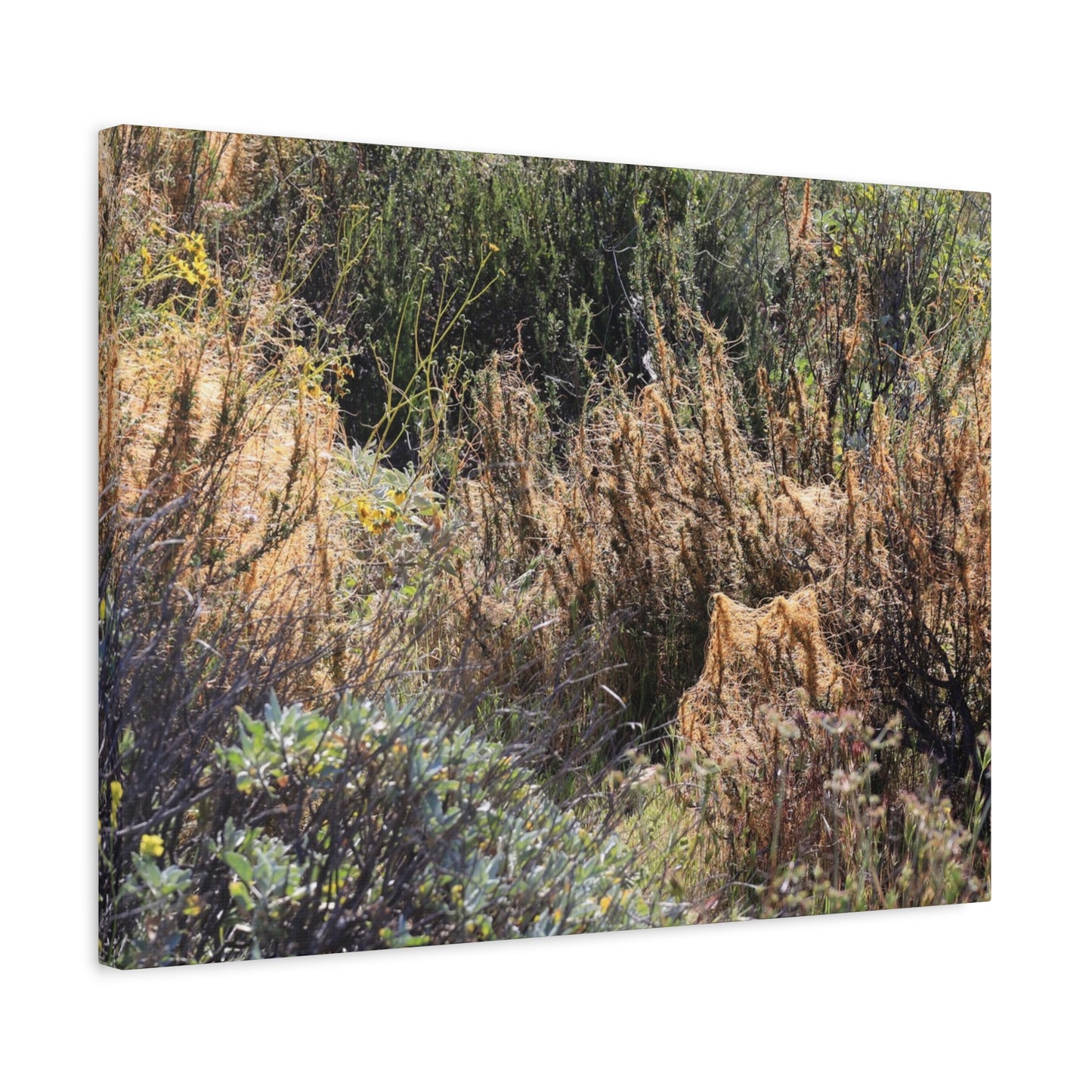Sagebrush Desert Landscape - Unique Frameless Canvas Wall Art - Art By Earth