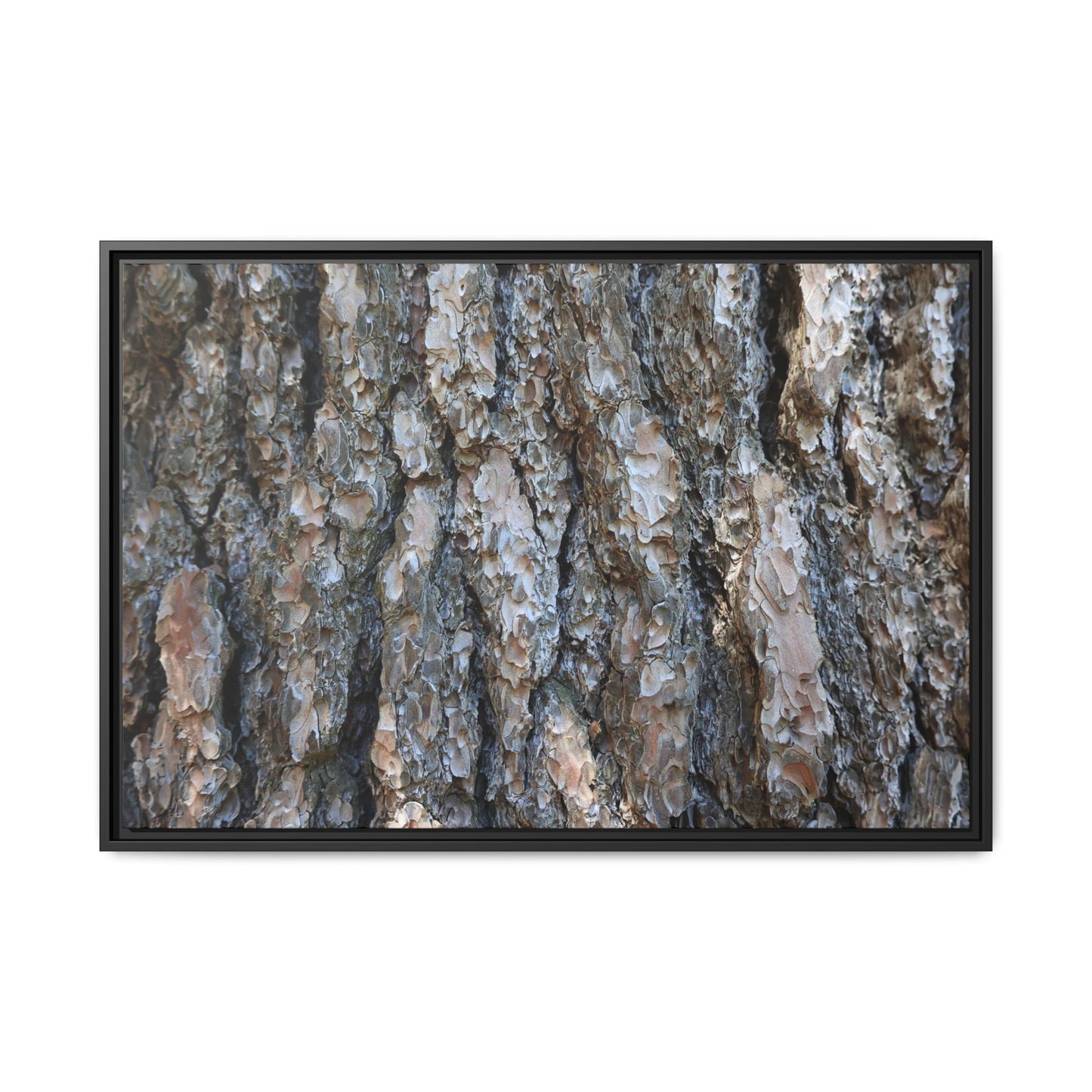 Bark Whispers - Unique Stretched Canvas Wall Art - Art By Earth