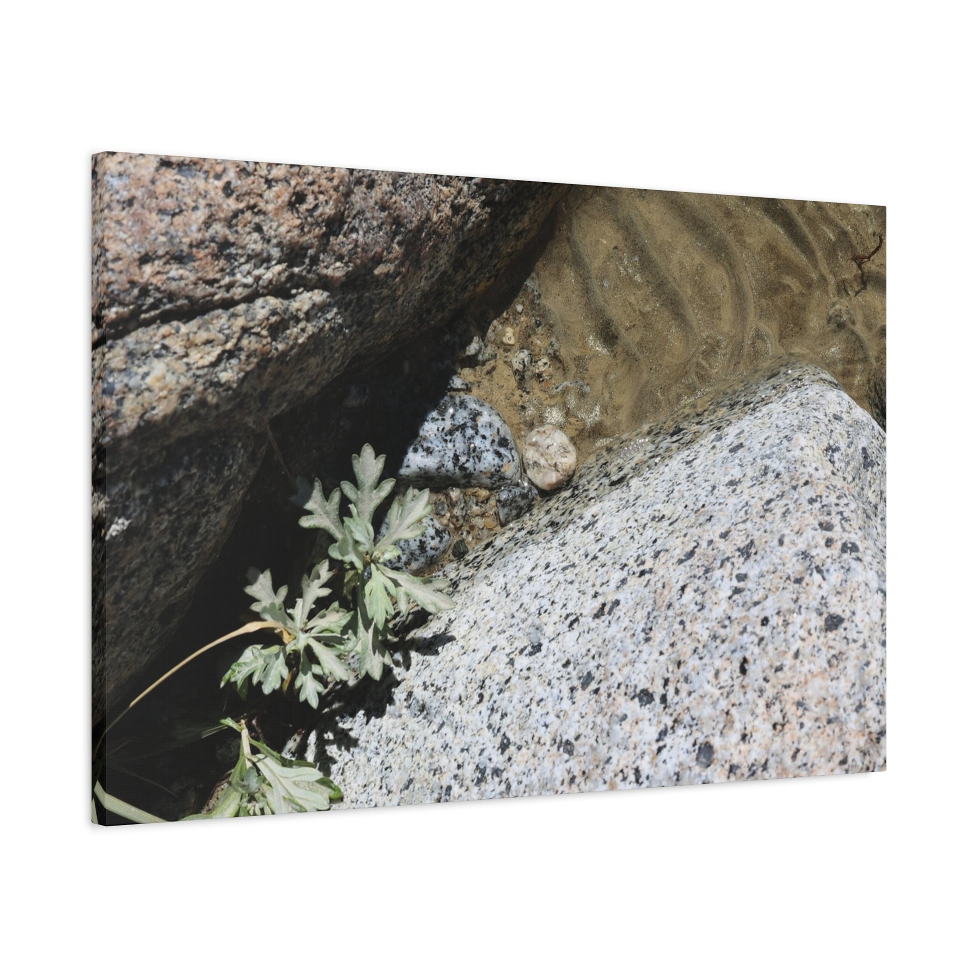 Between Stone and Sand - Unique Frameless Canvas Wall Art - Art By Earth