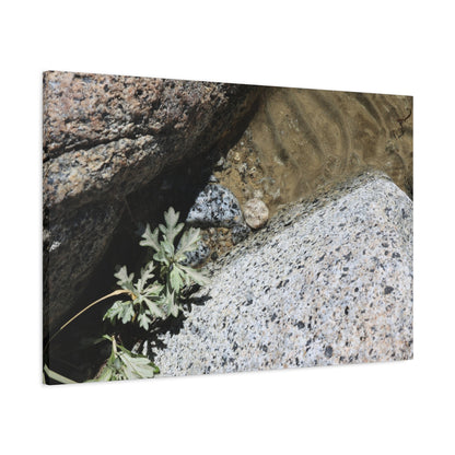 Between Stone and Sand - Unique Frameless Canvas Wall Art - Art By Earth