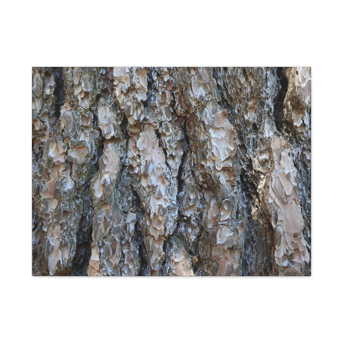 Elemental Tapestry - Unique Frameless Canvas Wall Art - Art By Earth