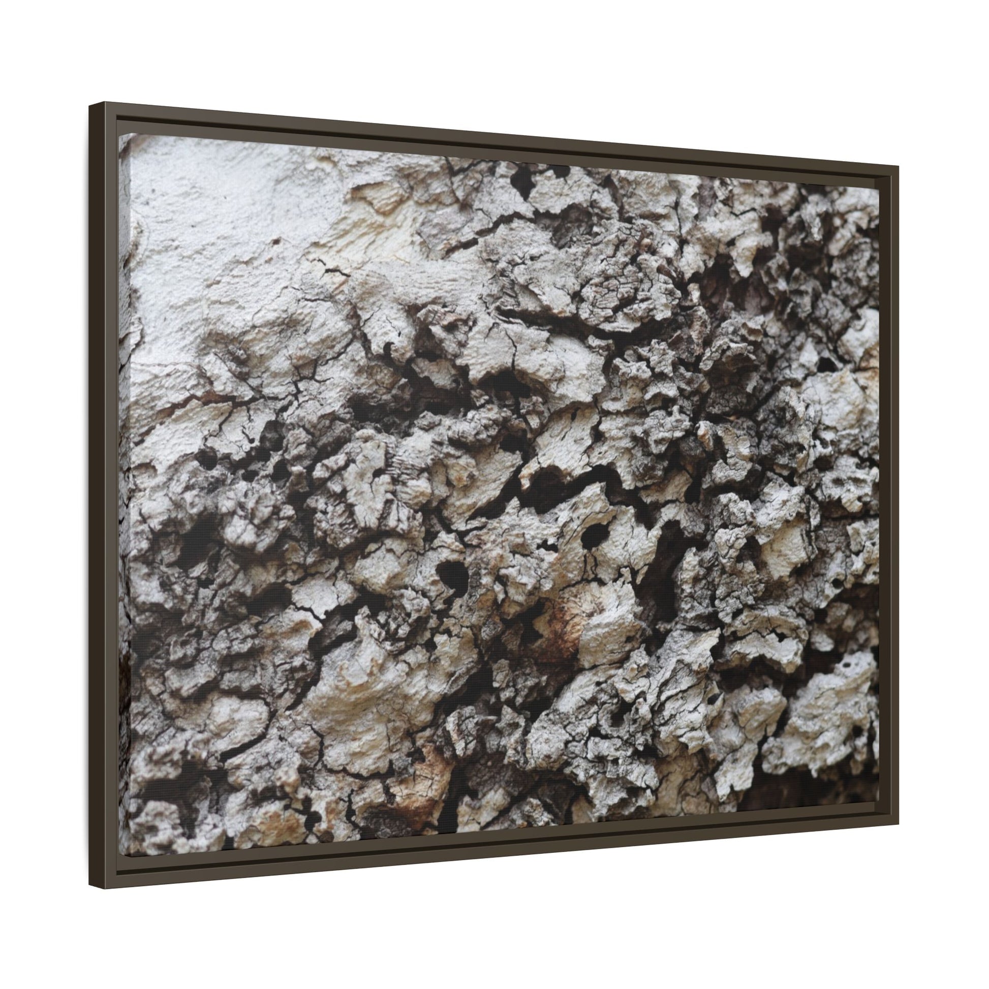 Cracked Terrain - Unique Stretched Canvas Wall Art - Art By Earth