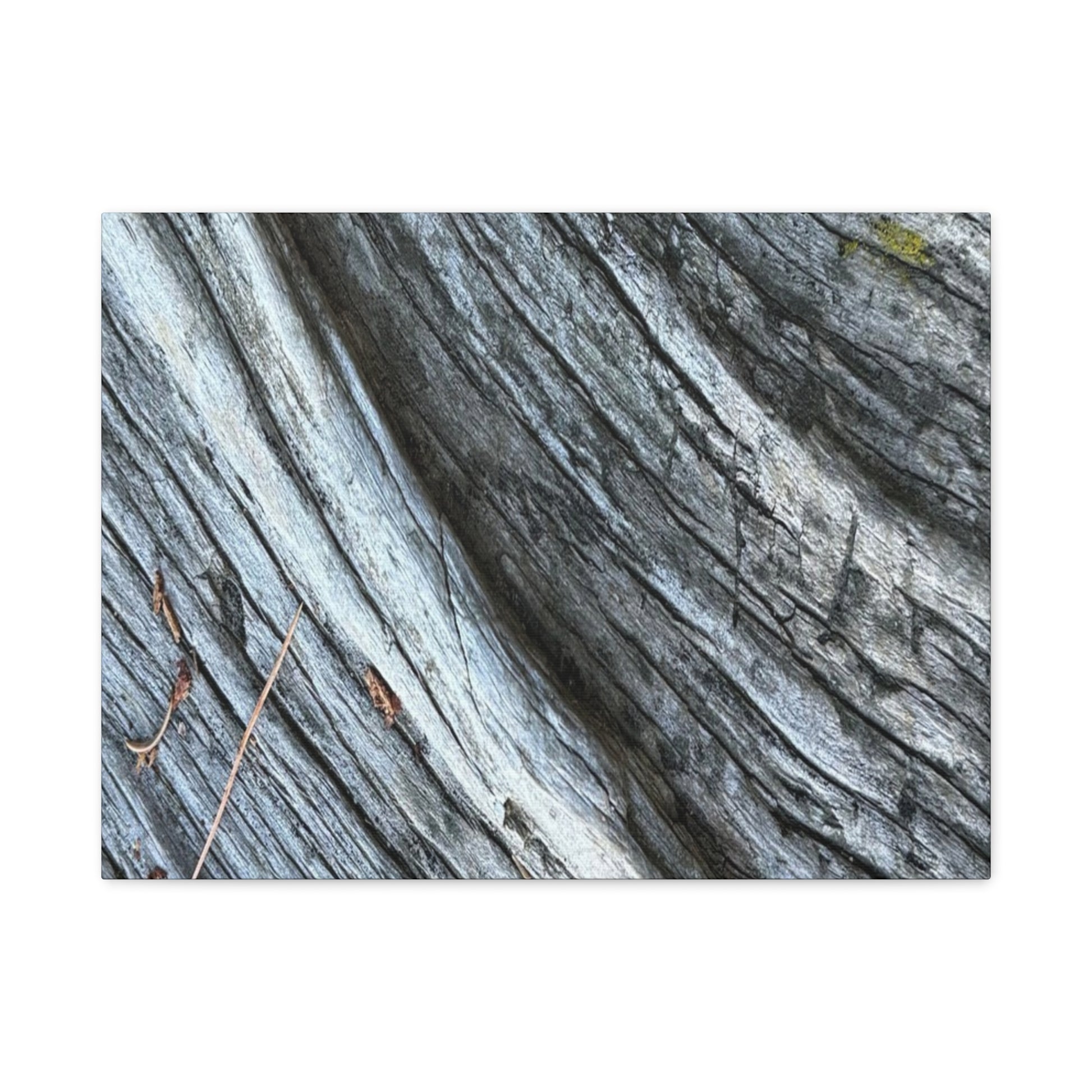 Weathered Wood Grain - Unique Frameless Canvas Wall Art - Art By Earth
