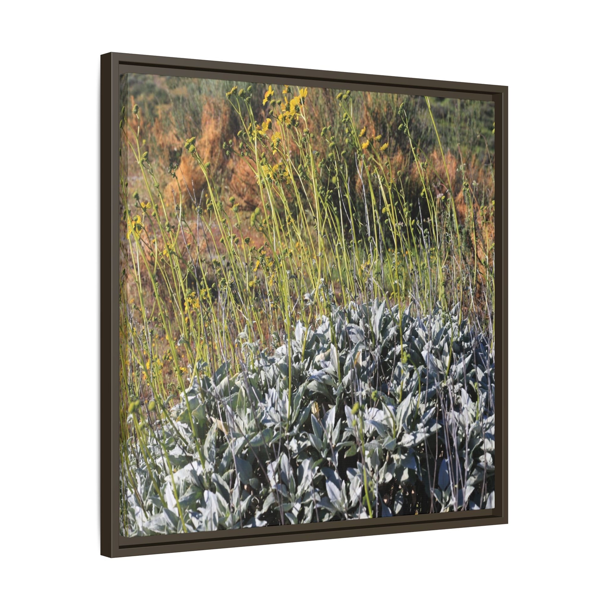 Arid Landscape with Yellow Flowers - Unique Stretched Canvas Wall Art - Art By Earth