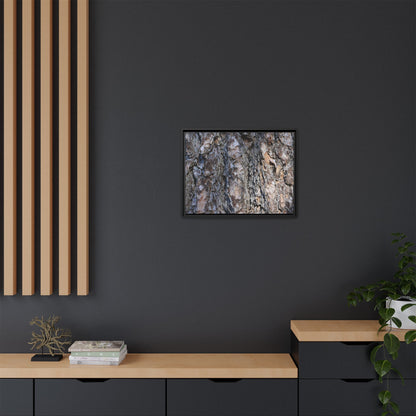 Weathered Patterns - Unique Stretched Canvas Wall Art - Art By Earth