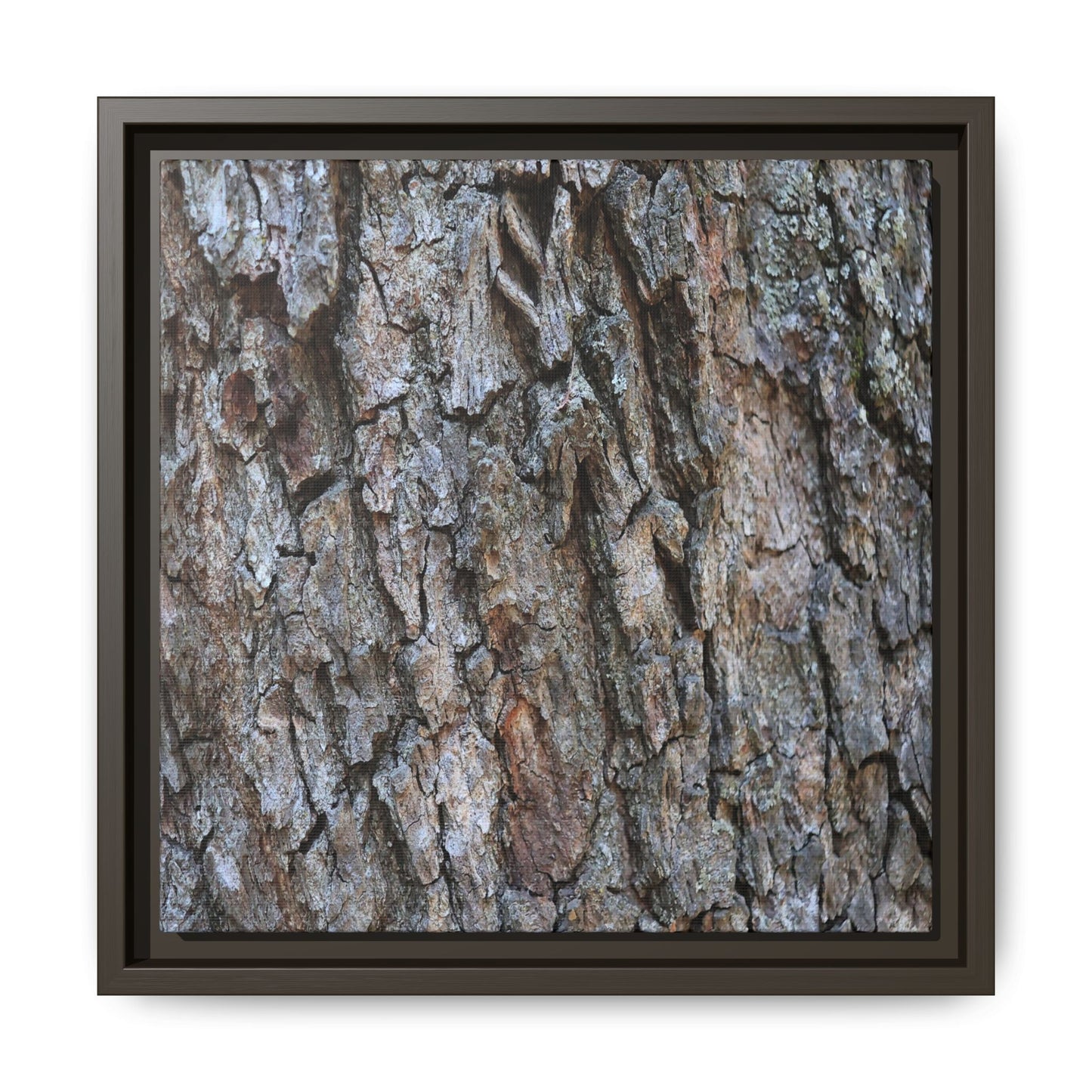 Woodland Skin - Unique Stretched Canvas Wall Art - Art By Earth
