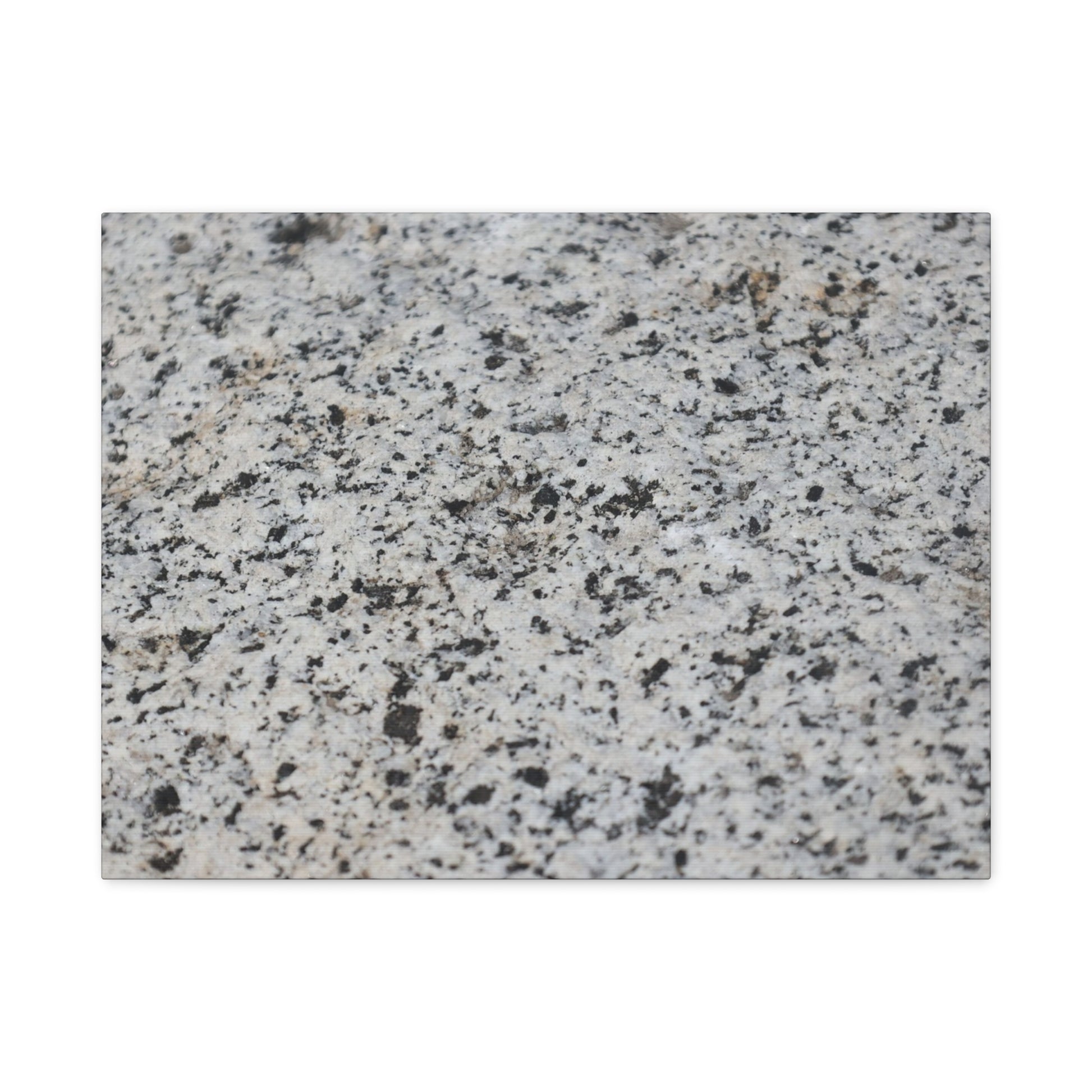 Speckled Silence - Unique Frameless Canvas Wall Art - Art By Earth